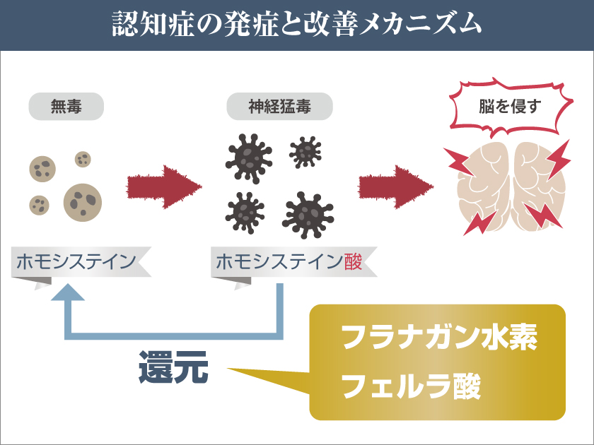 当院代表佐藤俊彦のコラム ～MCIドックに関して～