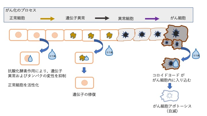 当院代表佐藤俊彦のコラム ～コロイドヨードによるがん治療に関して 