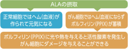 ポルフィリン(PPIX)に光や熱を与えると活性酸素を発生し、がん細胞にDAMAGEを与えることが出来る